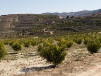 Sierra Nevada : Europa, Reisen, Sierra Nevada, Spanje, europa